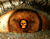 Orieškovo hnedé oči