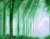 Green Forest 01
