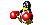boxer pingvin