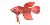 červená ryba