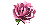 rausva rožė