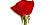 egy rózsa