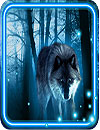 Wolves Nightlive