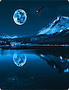 Blue Moon Live Wallpaper HD
