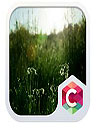 Cloudy Nature C Launcher