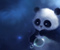 Cute gelembung Panda