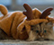 Daisy Kitten Cat vui Costume