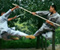 Amazing Chinese Martial Arts