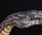 Hand Snake With Body Painting