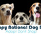 Nacionalinė šunų diena