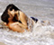 زن و شوهر دوست داشتنی انجام عاشقانه در ساحل