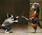 Kucing lucu Dengan Kung Fu Mimi