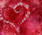 Širdies Gėlės 01