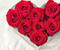 Aşk 01 Rose