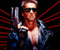 Arnold Terminator 01
