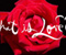 Rose Dengan Apa Cinta