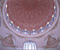 Islamic Architecture 251