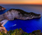 Zakynthos Adası Of Görünüm