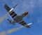Mustang Desert Rat War Plane Repülőgép P51