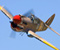 Sky Penerbangan Pesawat Fighter Propeller Bunga