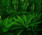Tumbuhan Hutan Leaf Green