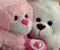Cute Teddy Bear 05