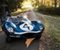 1955 Jaguar D Type Blue