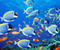 Indah Sea Fish