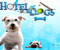hotel for dogs