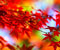 crvena lišće u crveno ogranak