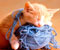 cat and rope ball