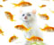Biela mačka a ryby