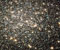 Guľová hviezdokopa