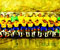 Dünya Kupası Brezilya ekibi