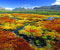 Colorful Mosses Cedarberg Wilderness Area