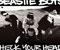 Beastie Boys 01
