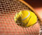 Tenis Ball ve Raket