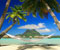 Tropic Polynesia Perancis