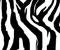Pola zebra