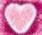 Hairy ružové srdce