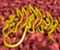 Kaligrafi islame 41