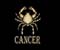 Cancer Zodiac Live