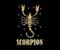 Scorpio Zodiac Live