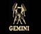 Gemini Zodiac Live