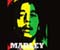 Marley 2012