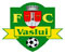 Fotbal Club Vaslui