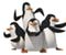 Madagascar Dreamworks Penguin