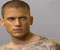 Prison Break Scofield tatto body