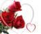 Crvena ruža na Valentinovo Dan