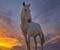 Kuda Dan Sunset